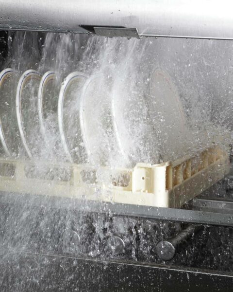 Silanos lave vaisselle professionnel lavage