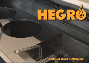 hegro florigo friteuse professionnelle gaz catalogue
