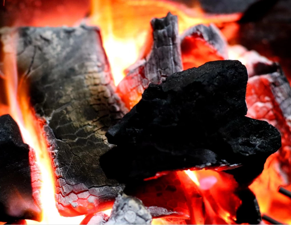 charbon argentin fogon - braise