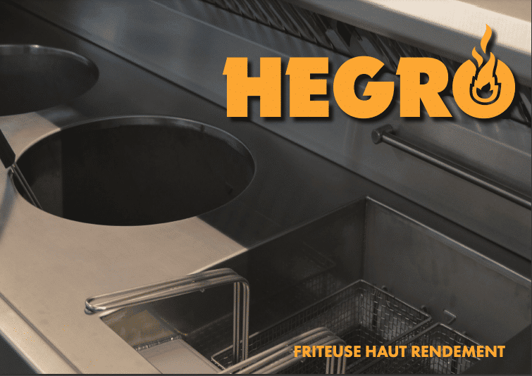 hegro friteuse professionnelle gaz catalogue